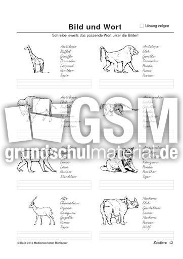 BuW Zootiere42.pdf